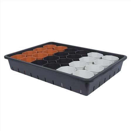 กระถางแคคตัส แปดเหลี่ยม SPRING 3 นิ้ว 24 ใบ พร้อมถาด