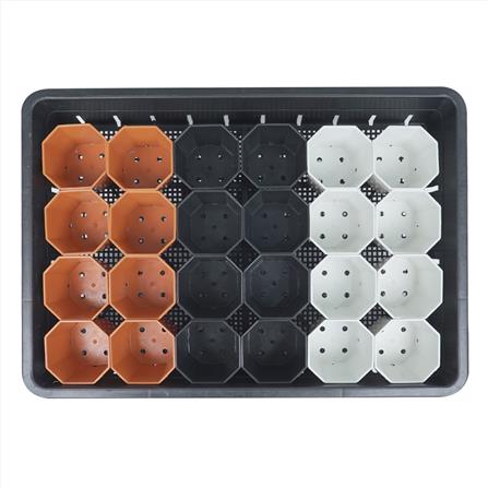 กระถางแคคตัส แปดเหลี่ยม SPRING 3 นิ้ว 24 ใบ พร้อมถาด_3