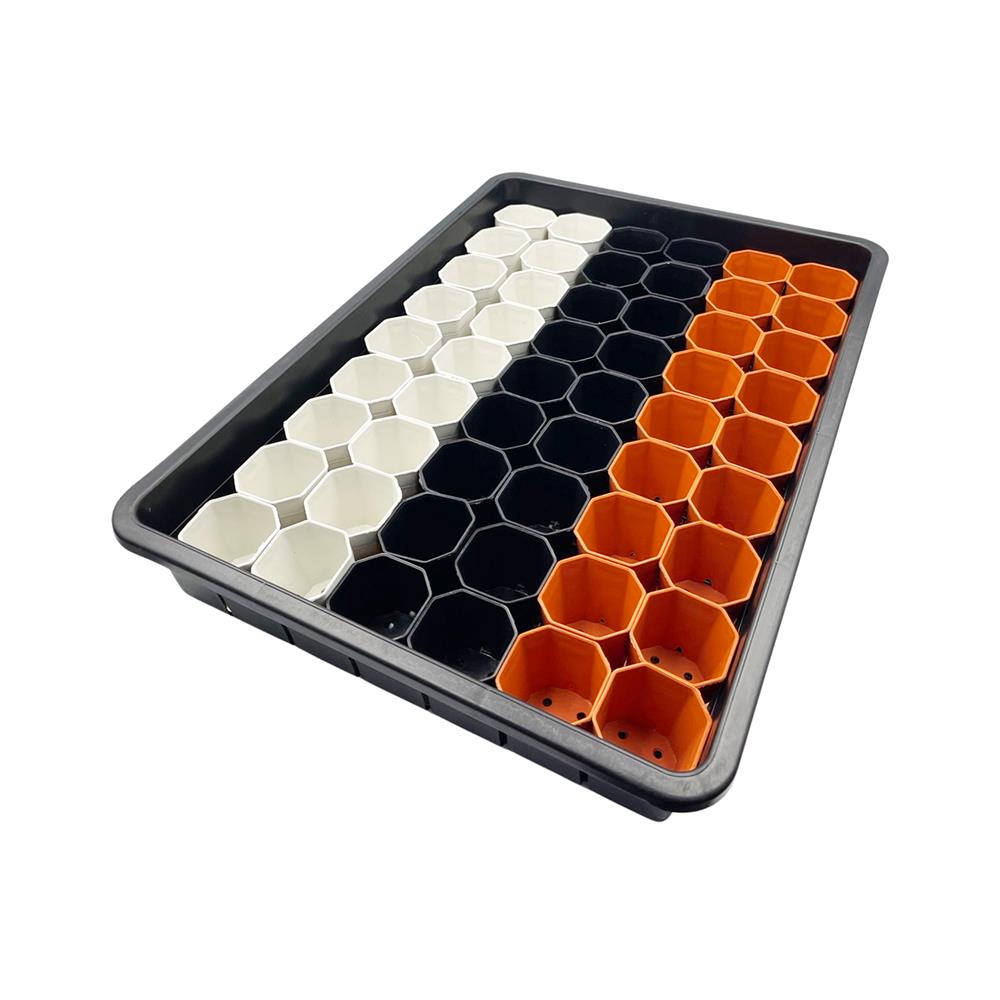 กระถางแคคตัส แปดเหลี่ยม SPRING 2 นิ้ว 54 ใบ พร้อมถาด_0