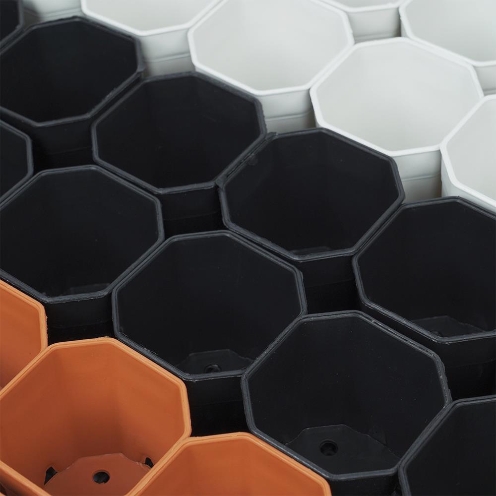 กระถางแคคตัส แปดเหลี่ยม SPRING 2 นิ้ว 54 ใบ พร้อมถาด