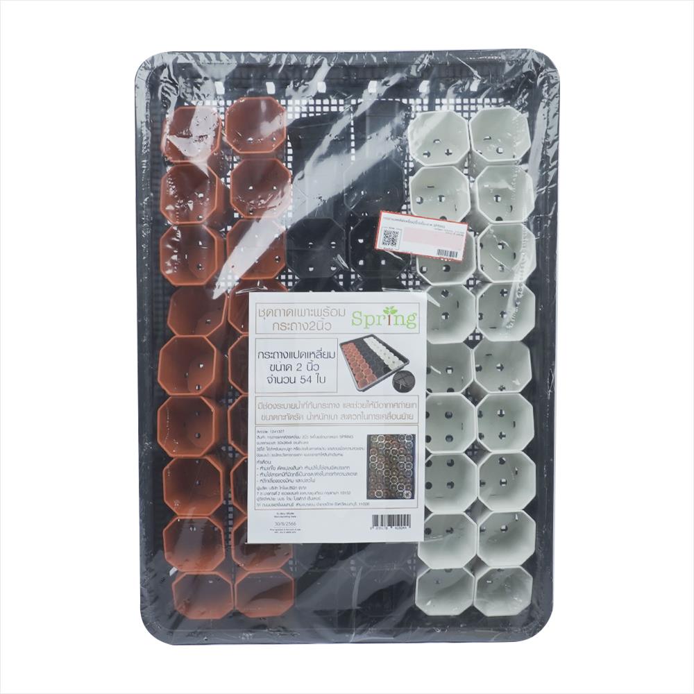 กระถางแคคตัส แปดเหลี่ยม SPRING 2 นิ้ว 54 ใบ พร้อมถาด
