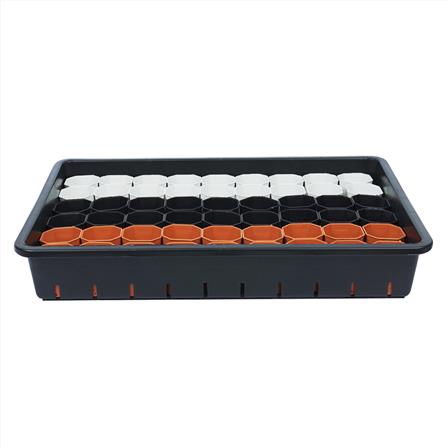 กระถางแคคตัส แปดเหลี่ยม SPRING 2 นิ้ว 54 ใบ พร้อมถาด_2