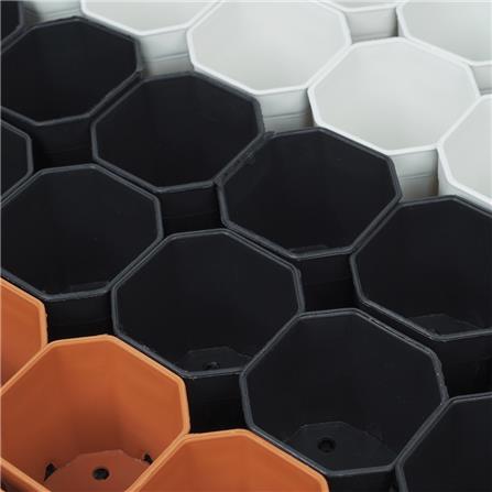 กระถางแคคตัส แปดเหลี่ยม SPRING 2 นิ้ว 54 ใบ พร้อมถาด_3