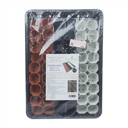 กระถางแคคตัส แปดเหลี่ยม SPRING 2 นิ้ว 54 ใบ พร้อมถาด_4