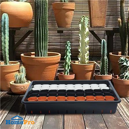 กระถางแคคตัส แปดเหลี่ยม SPRING 2 นิ้ว 54 ใบ พร้อมถาด_5