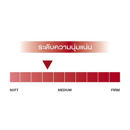 ที่นอน 5 ฟุต SLUMBERLAND APHRODITE_6