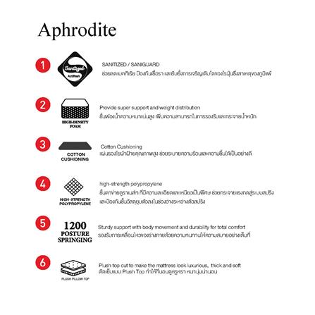 ที่นอน 6 ฟุต SLUMBERLAND APHRODITE_8
