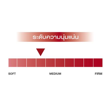 ที่นอน 5 ฟุต SLUMBERLAND TEMPSMART GRAND REGENT_6