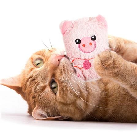 ของเล่นแมว FOFOS FLOPPY CRINKLE CAT TOY PIG_1