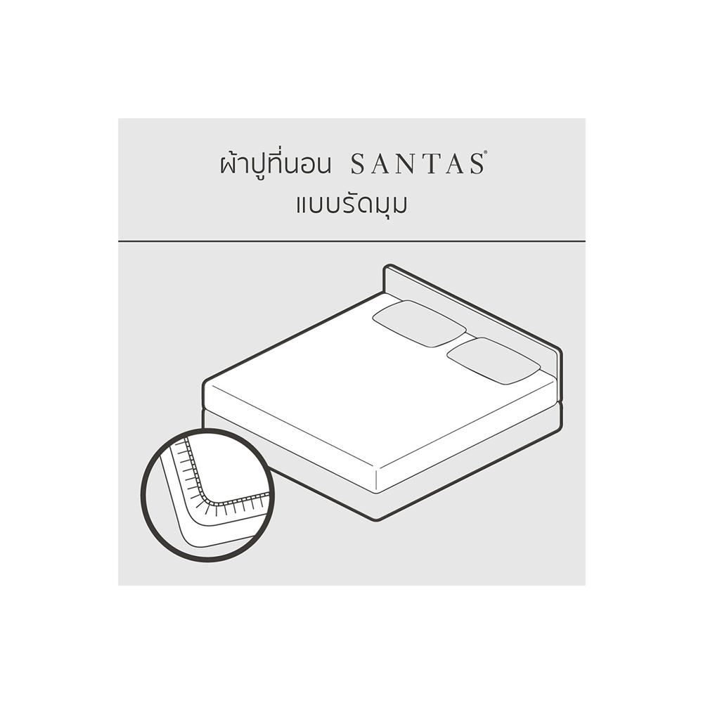 ชุดผ้าปูที่นอน 6 ฟุต 6 ชิ้น SANTAS PECAN GR
