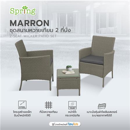 ชุดสนามหวายเทียม 2 ที่นั่ง SPRING MARRON สีเทา_9