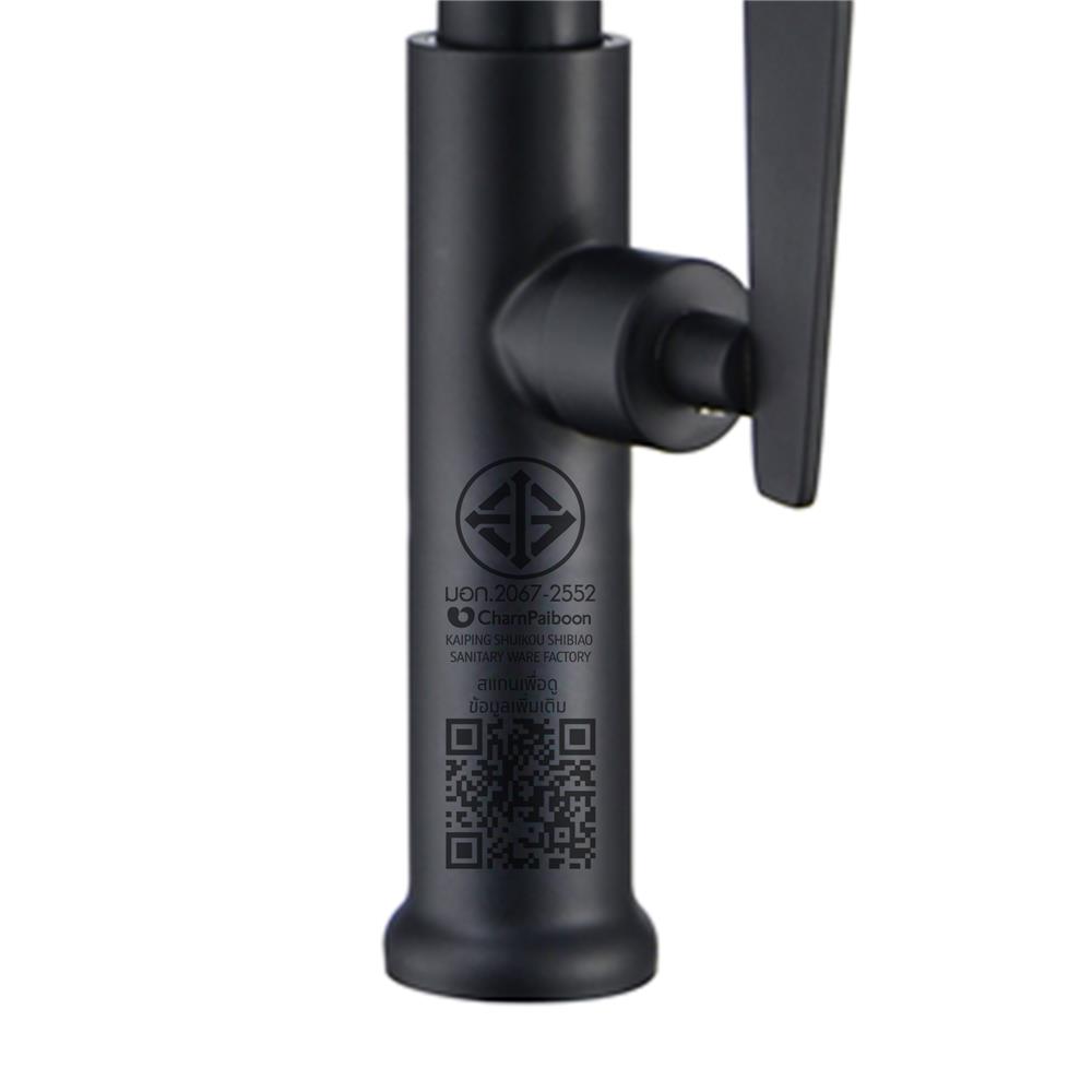 ก๊อกซิงค์เดี่ยวเคาน์เตอร์ RASLAND RA A124-A555 สีดำ