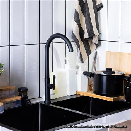 ก๊อกซิงค์เดี่ยวเคาน์เตอร์ RASLAND RA A124-A555 สีดำ_1