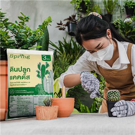 ดินปลูกกระบองเพชร SPRING 3 กก._3