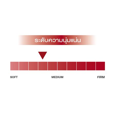ที่นอน 3.5 ฟุต SLUMBERLAND KENSINGTON พร้อมชุดเครื่องนอน 7 ชิ้น_5