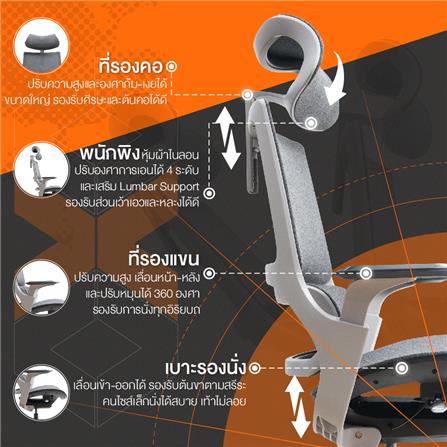 เก้าอี้สุขภาพ ERGOTREND X-BEYOND สีเทา_5