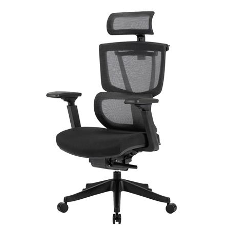 เก้าอี้สุขภาพ ERGOTREND DOLPH สีดำ