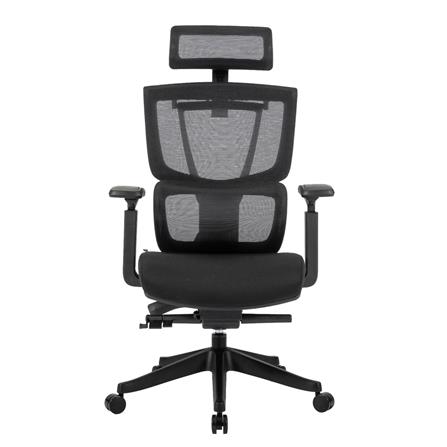 เก้าอี้สุขภาพ ERGOTREND DOLPH สีดำ_1