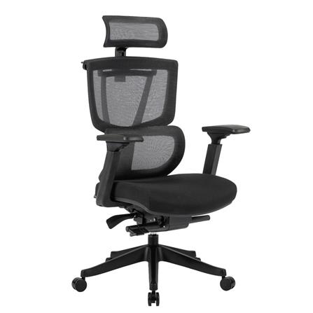 เก้าอี้สุขภาพ ERGOTREND DOLPH สีดำ_2