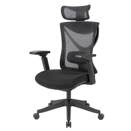 เก้าอี้สุขภาพ ERGOTREND BRUGE สีดำ