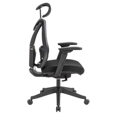 เก้าอี้สุขภาพ ERGOTREND BRUGE สีดำ_3