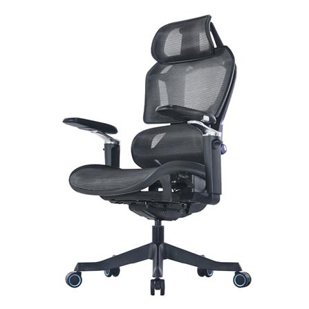 เก้าอี้สุขภาพ ERGOTREND STUNT สีดำ