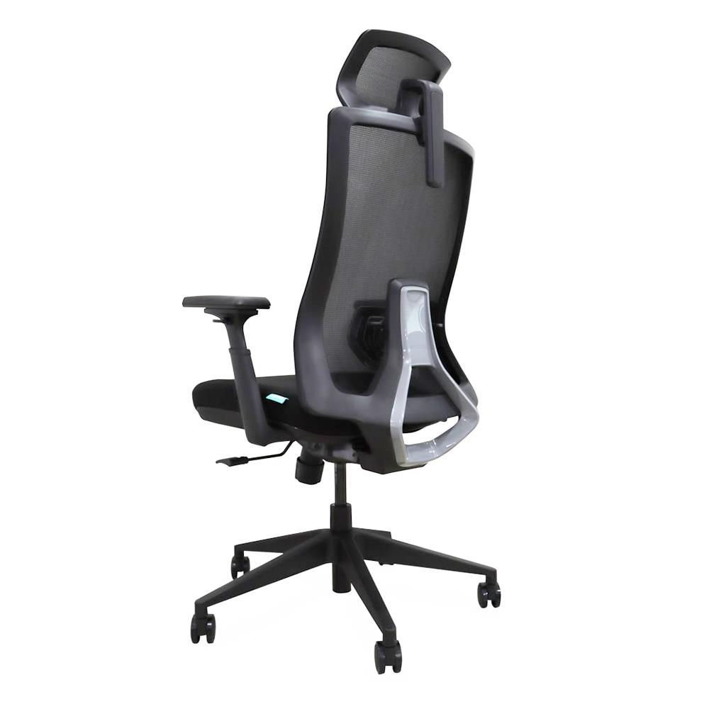 เก้าอี้สุขภาพ BEWELL FROZEN สีดำ