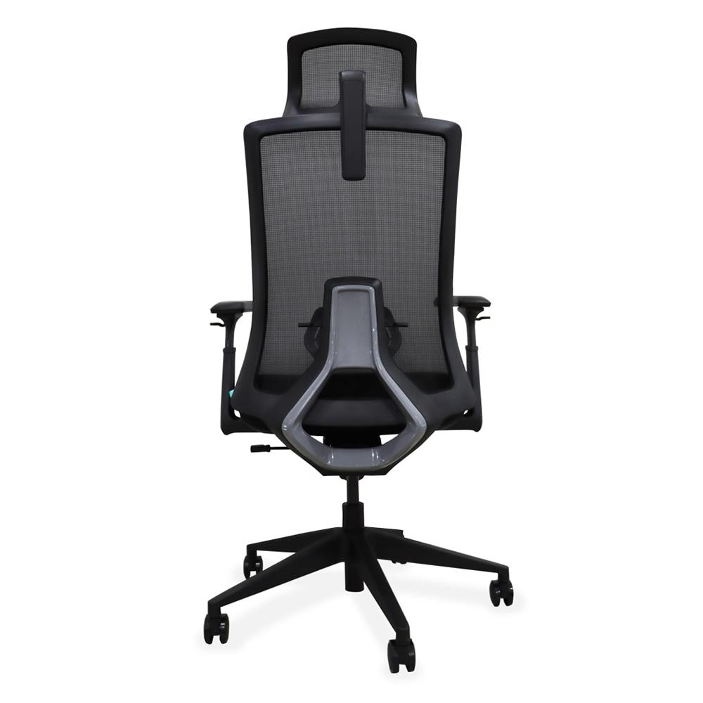 เก้าอี้สุขภาพ BEWELL FROZEN สีดำ