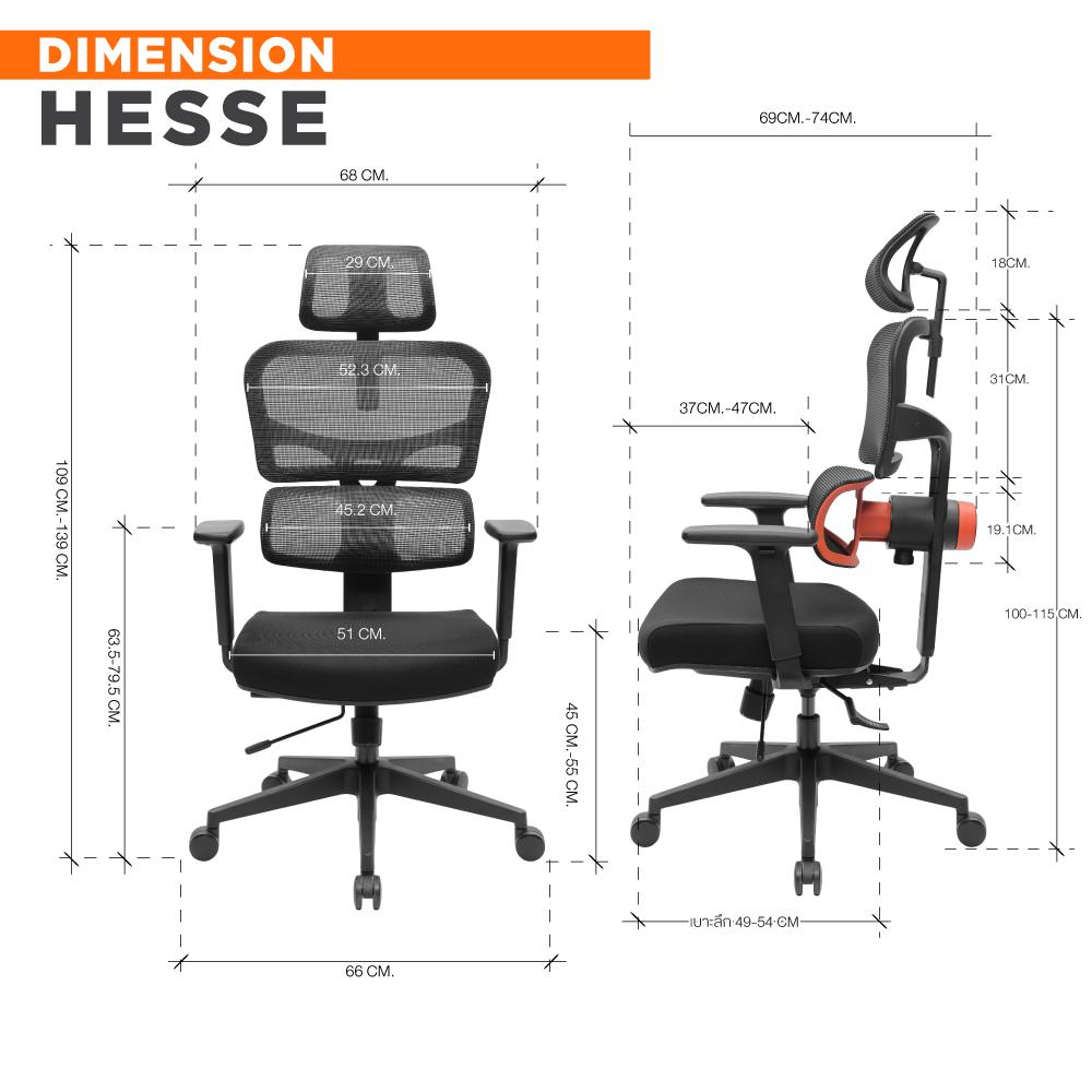 เก้าอี้สุขภาพ ERGOTREND HESSE สีดำ