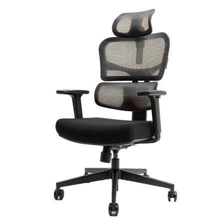 เก้าอี้สุขภาพ ERGOTREND HESSE สีดำ