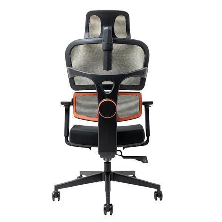 เก้าอี้สุขภาพ ERGOTREND HESSE สีดำ_5