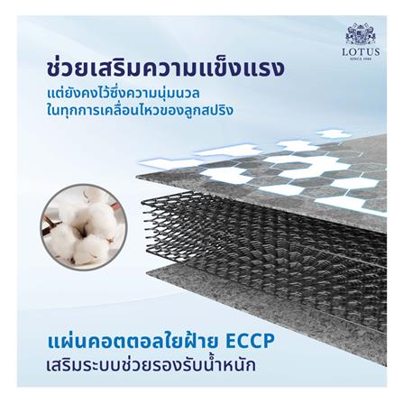 ที่นอน 6 ฟุต LOTUS HUDSON I พร้อมหมอนหนุน 2 ชิ้น_11