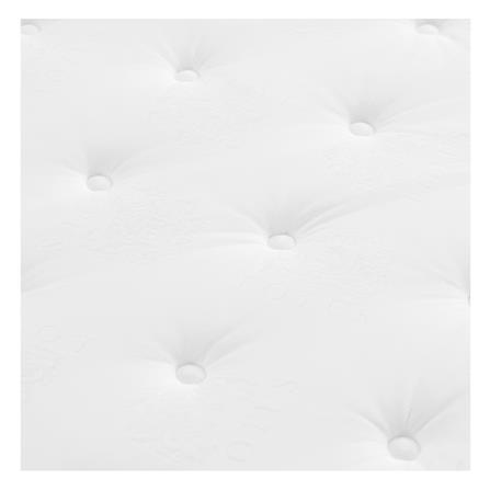 ที่นอน 3.5 ฟุต LOTUS MATILDA 100 พร้อมหมอนหนุน 1 ชิ้น_2