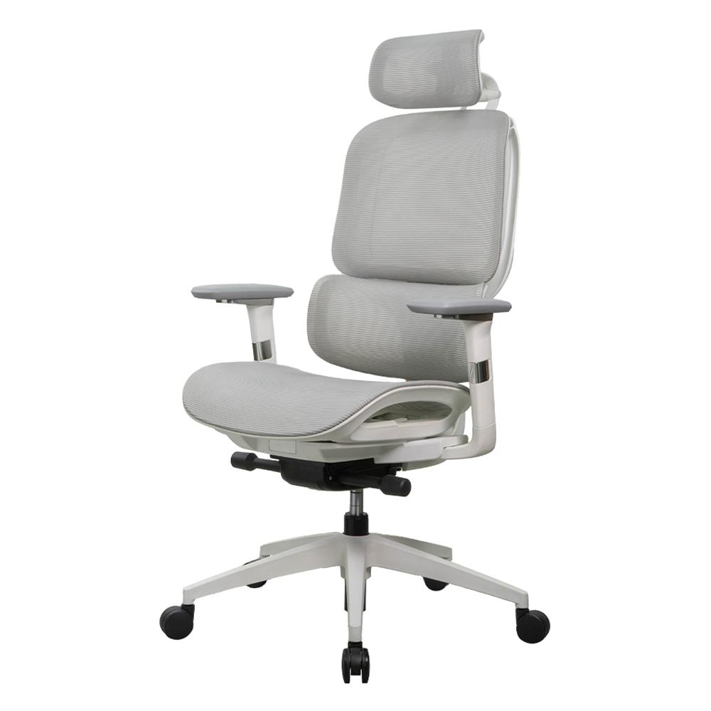 เก้าอี้สุขภาพ WORKSCAPE STELLA WCH-00050 สีเทา