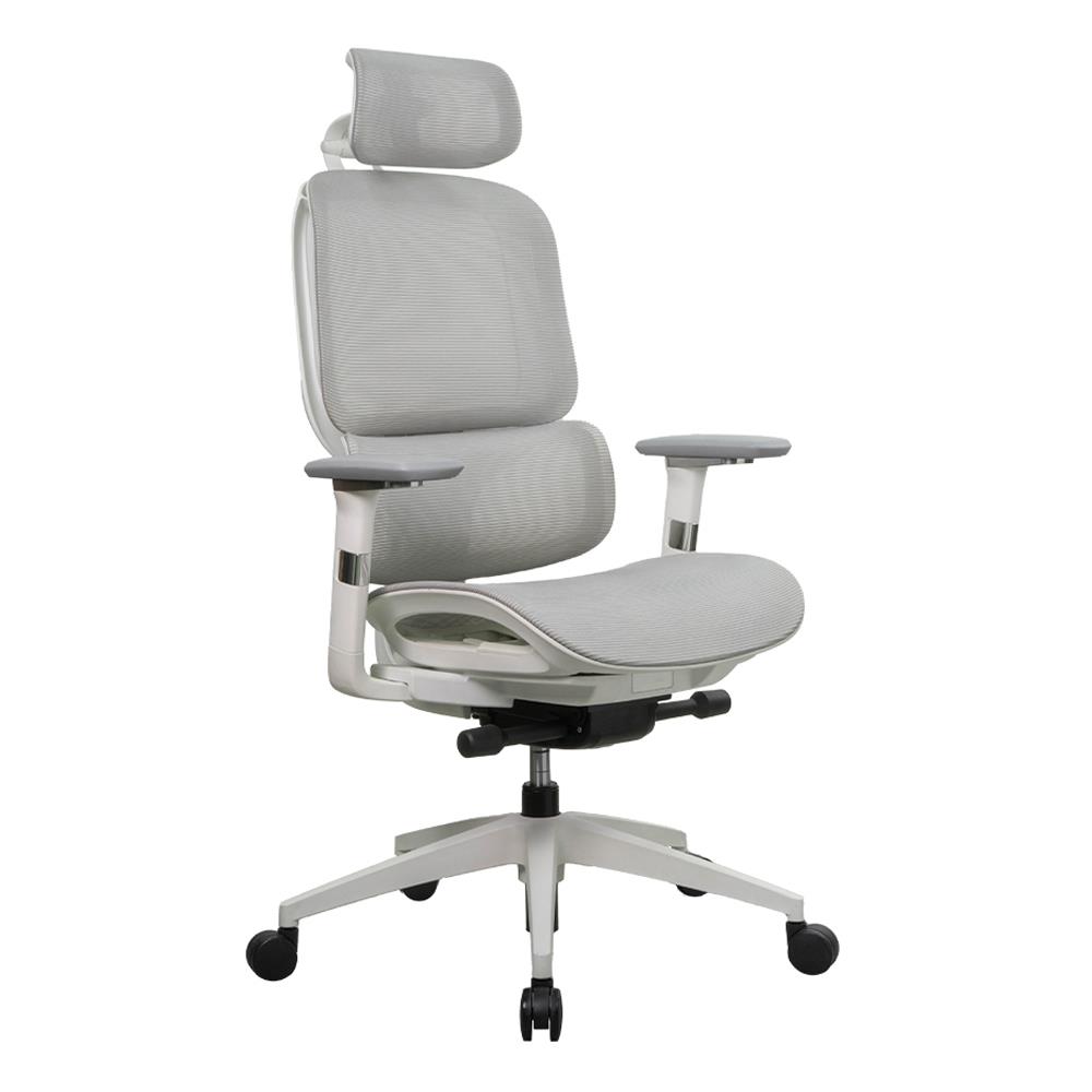 เก้าอี้สุขภาพ WORKSCAPE STELLA WCH-00050 สีเทา