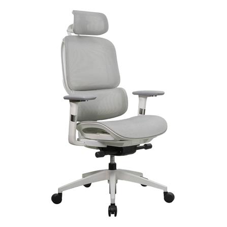 เก้าอี้สุขภาพ WORKSCAPE STELLA WCH-00050 สีเทา_1