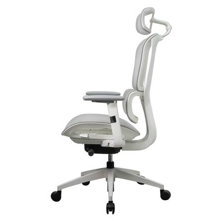 เก้าอี้สุขภาพ WORKSCAPE STELLA WCH-00050 สีเทา_2