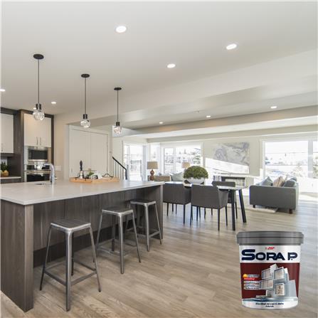 สีน้ำทาฝ้า ชนิดด้าน JBP SORA P สีขาว 5 แกลลอน_1