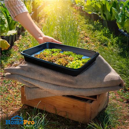 ถาดใส่ฟองน้ำ SPRING 38X28X5 ซม. สีดำ_4