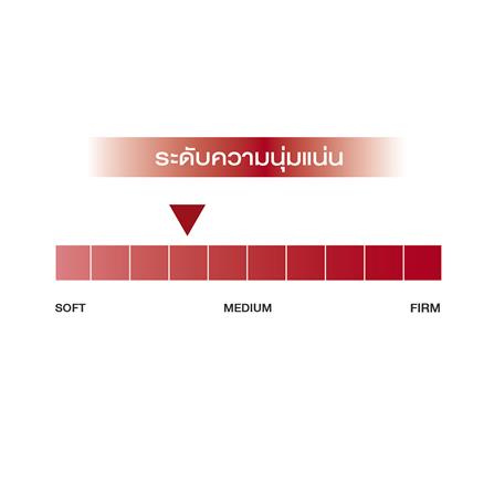 ที่นอน 6 ฟุต SLUMBERLAND TEMPSMART GRAND DUKE_4