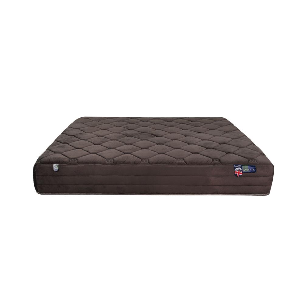 ที่นอน 5 ฟุต SLUMBERLAND EVELYNE
