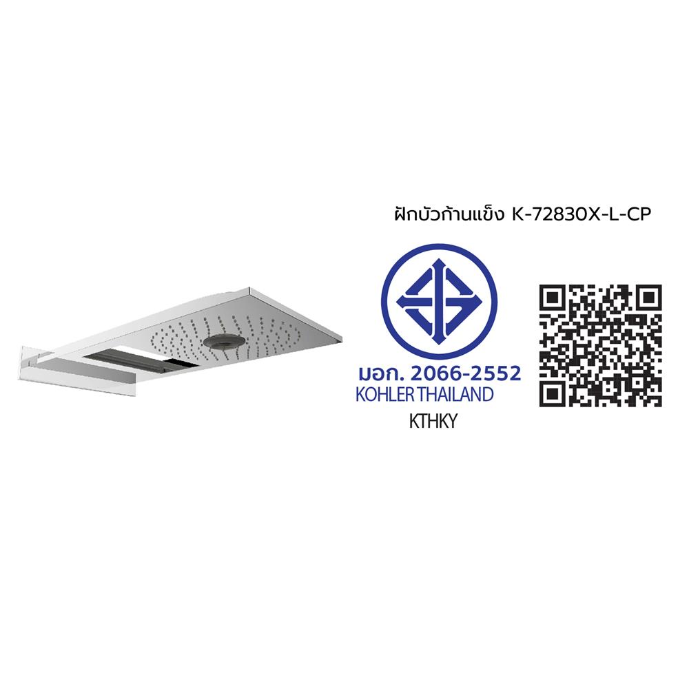 ฝักบัวก้านแข็ง KOHLER K-72830X-L-CP