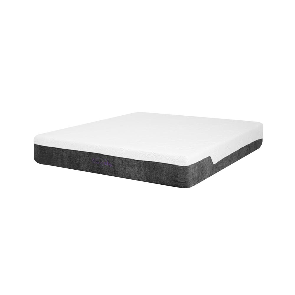 ที่นอน 5 ฟุต COMFIO MARGARET