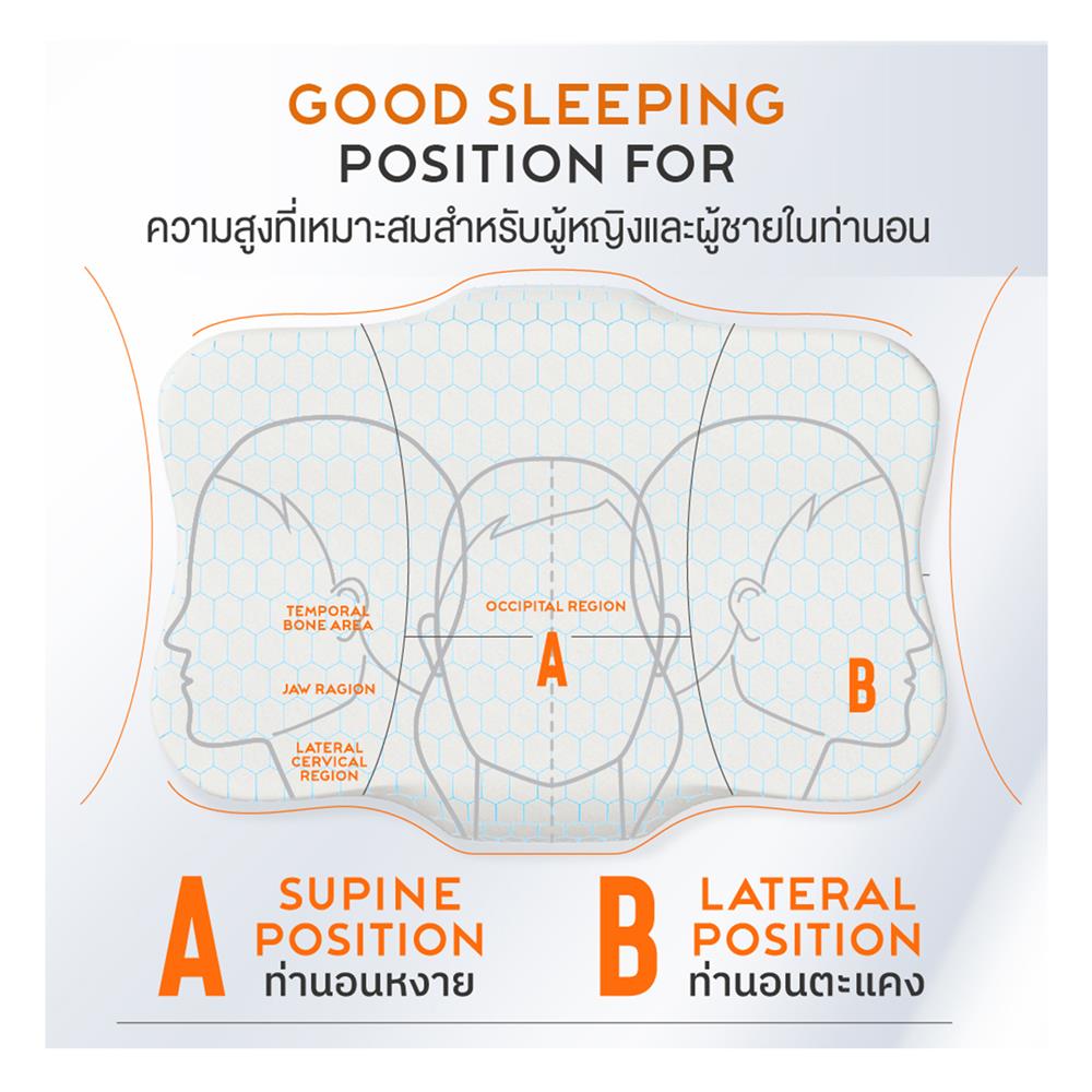 หมอนสุขภาพ เมมโมรี่โฟม ERGOTREND ORTHOSPINE ADJUSTABLE 60x45x13 ซม. สีขาว/เทา