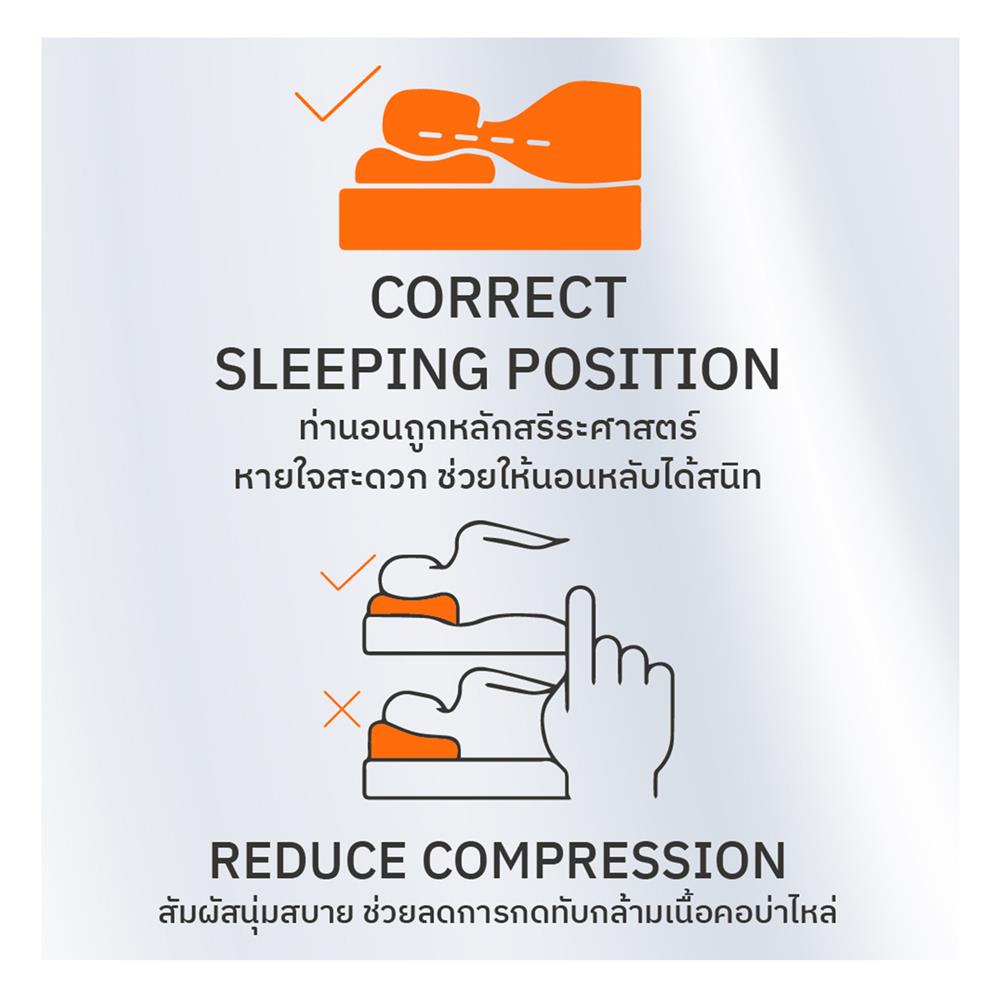 หมอนสุขภาพ เมมโมรี่โฟม ERGOTREND ORTHOSPINE ADJUSTABLE 60x45x13 ซม. สีขาว/เทา