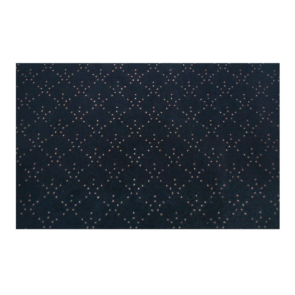 พรมเช็ดเท้าดักฝุ่น PRAW DE LUCKY BLACK 120X180 ซม. สีดำ_1