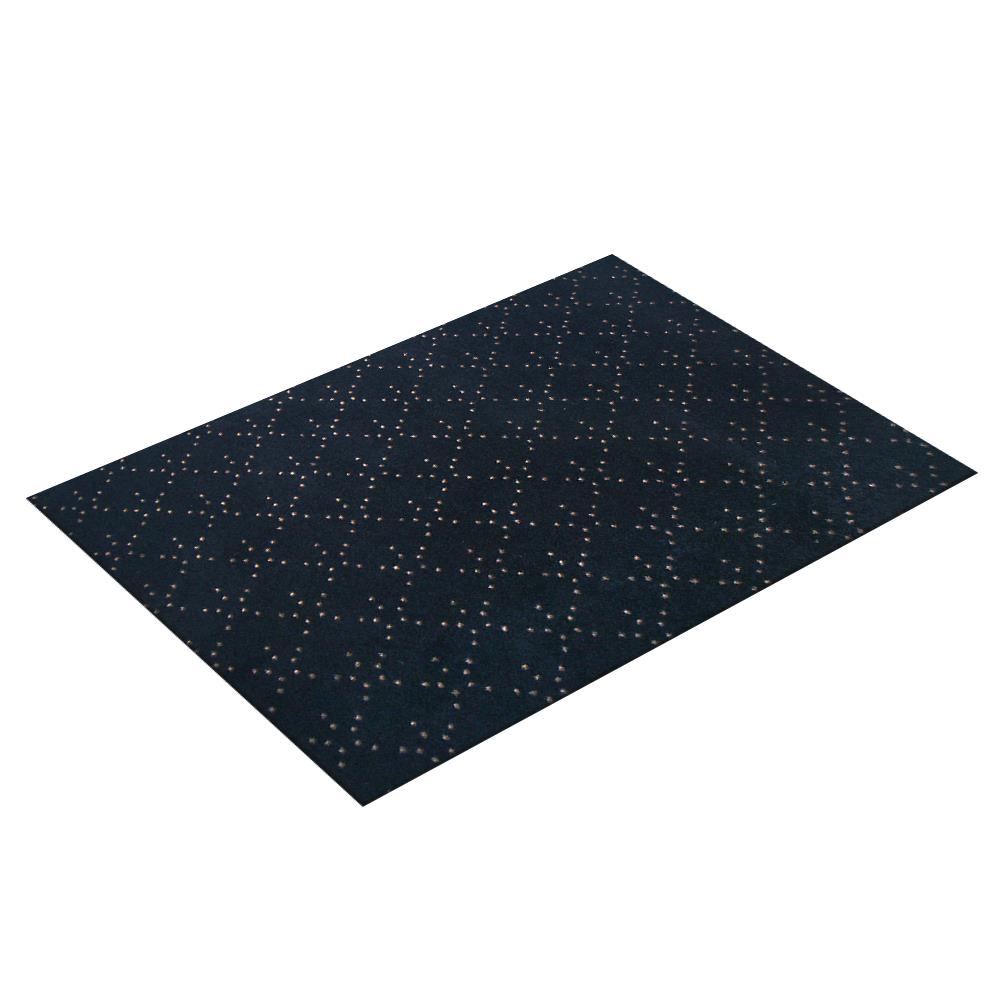 พรมเช็ดเท้าดักฝุ่น PRAW DE LUCKY BLACK 120X180 ซม. สีดำ