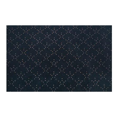 พรมเช็ดเท้าดักฝุ่น PRAW DE LUCKY BLACK 120X180 ซม. สีดำ_0