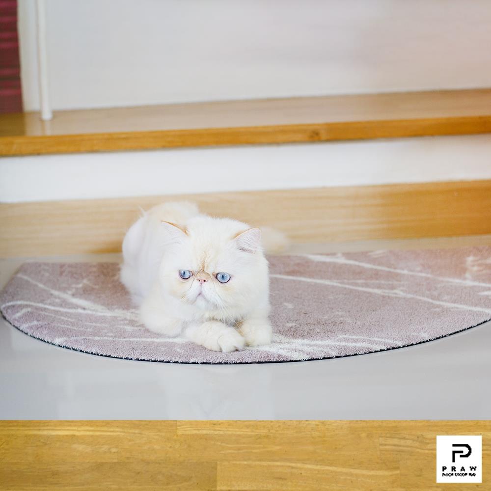 พรมเช็ดเท้าดักฝุ่น PRAW DE MARBLE PINK 55X85 ซม. สีชมพู