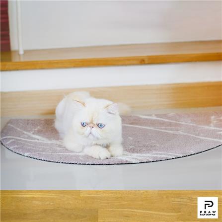 พรมเช็ดเท้าดักฝุ่น PRAW DE MARBLE PINK 55X85 ซม. สีชมพู_6